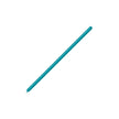 100 Ballons Modeling HG160 Turquoise - Balloonia