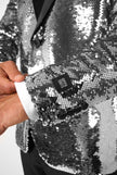 Shiny Silver Sequins