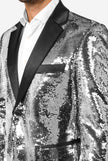 Shiny Silver Sequins