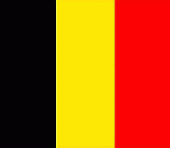 drapeau belgique 60x90 cm