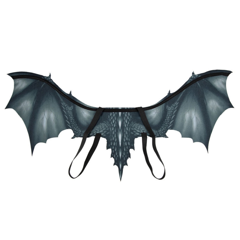 AILES DU DRAGON