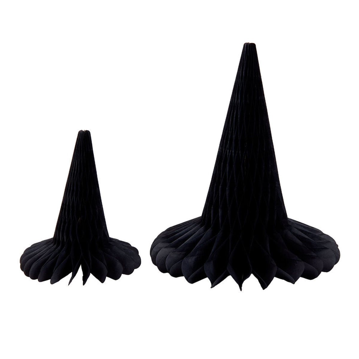 CHAPEAU DE SORCIERE ALVEOLE X 2