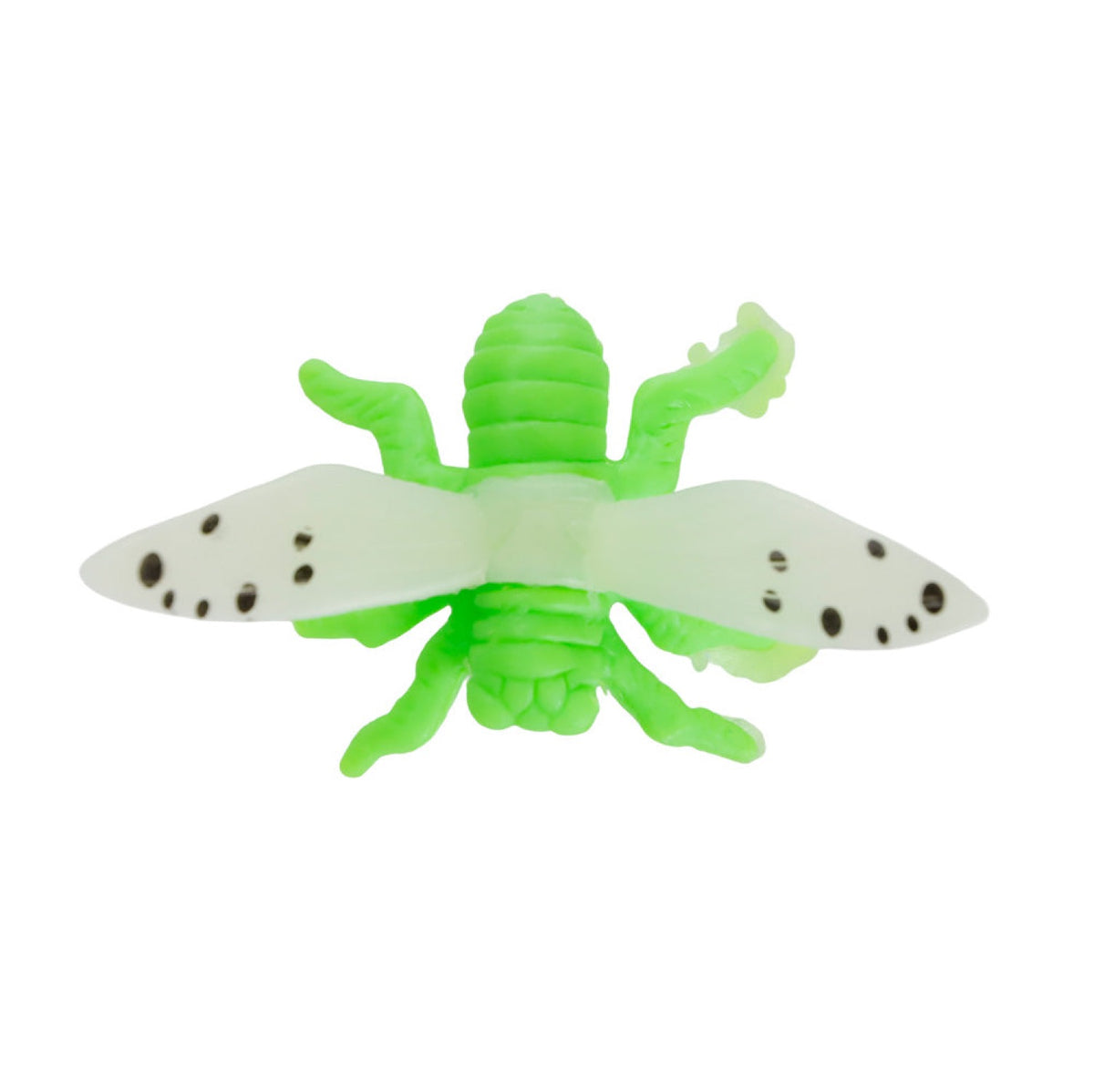 ANIMAL INSECTE PHOSPHO