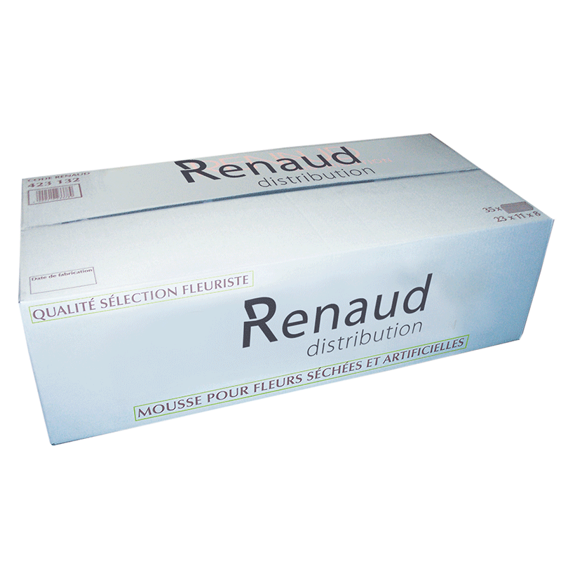 1 Bloc de Mousse Florale