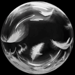 Single Color Printed Bubble 18