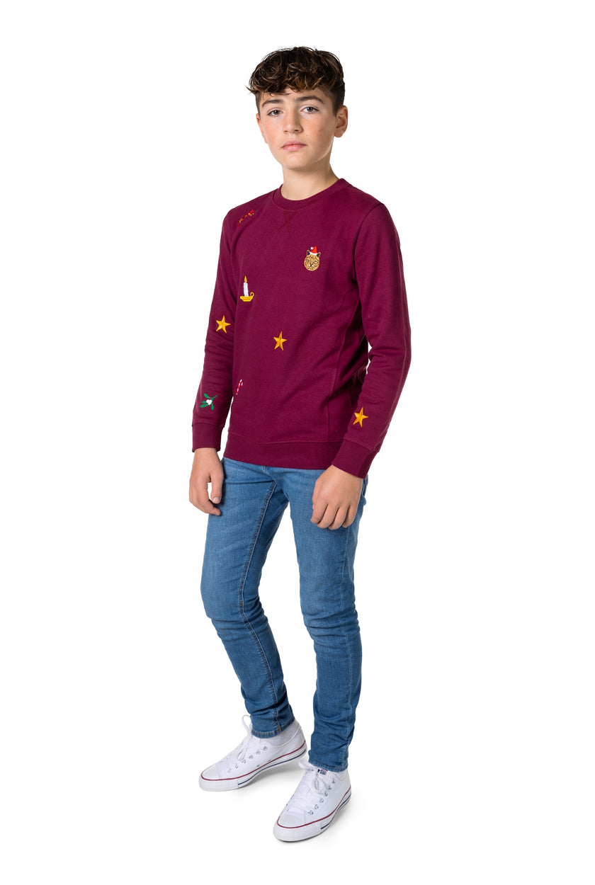 Pull OppoSuits Deluxe TEEN BOYS X-Mas Icons - Burgundy